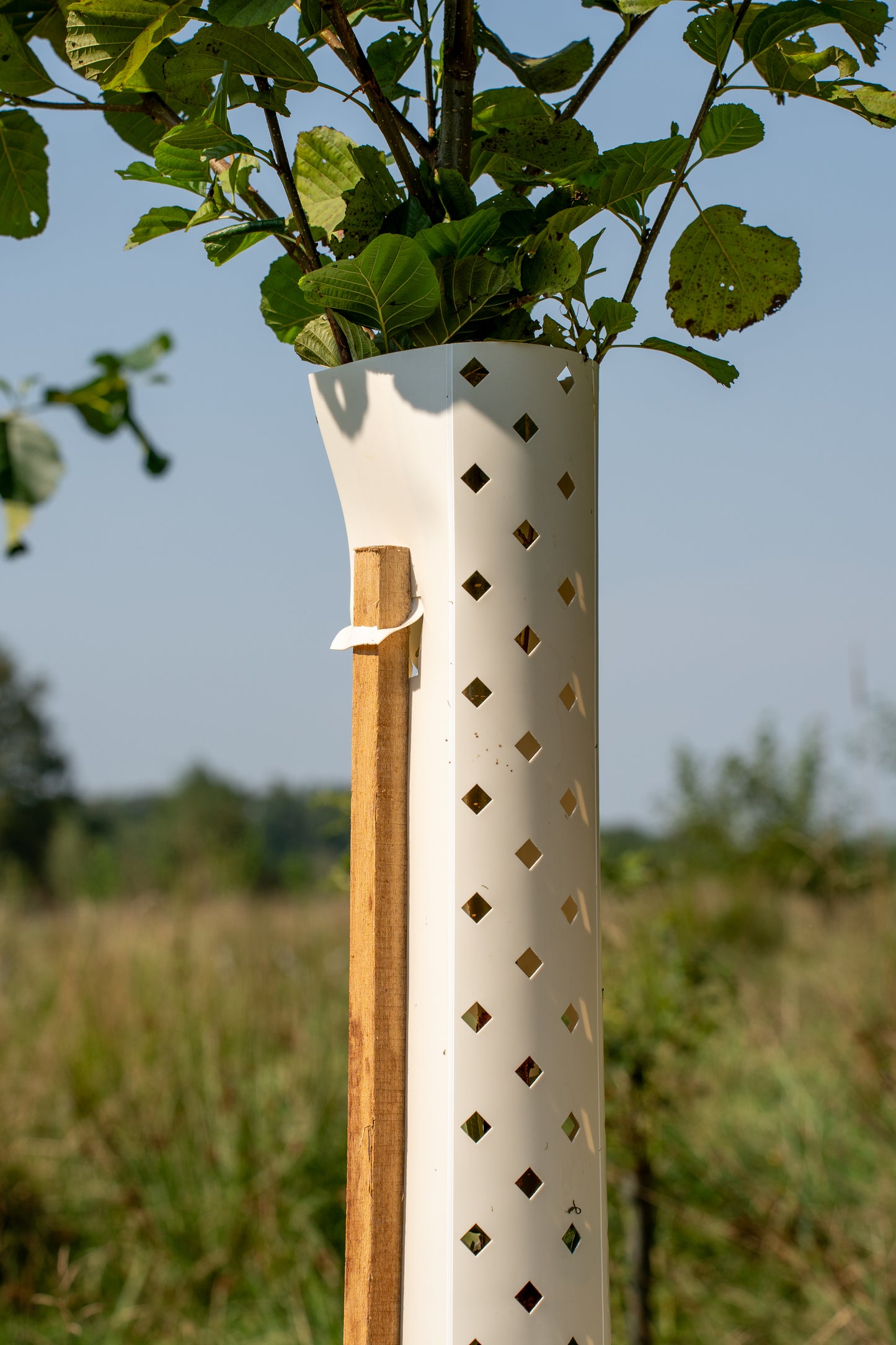 Biologisch afbreekbare TreeShelter