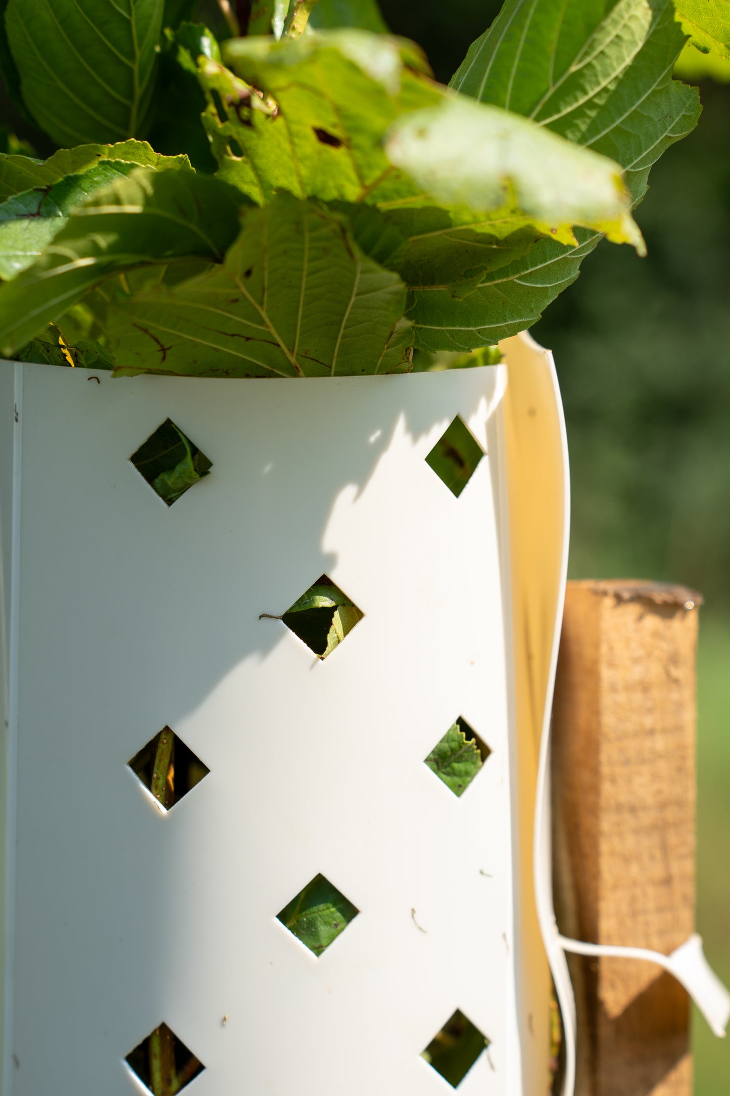 Biologisch afbreekbare TreeShelter