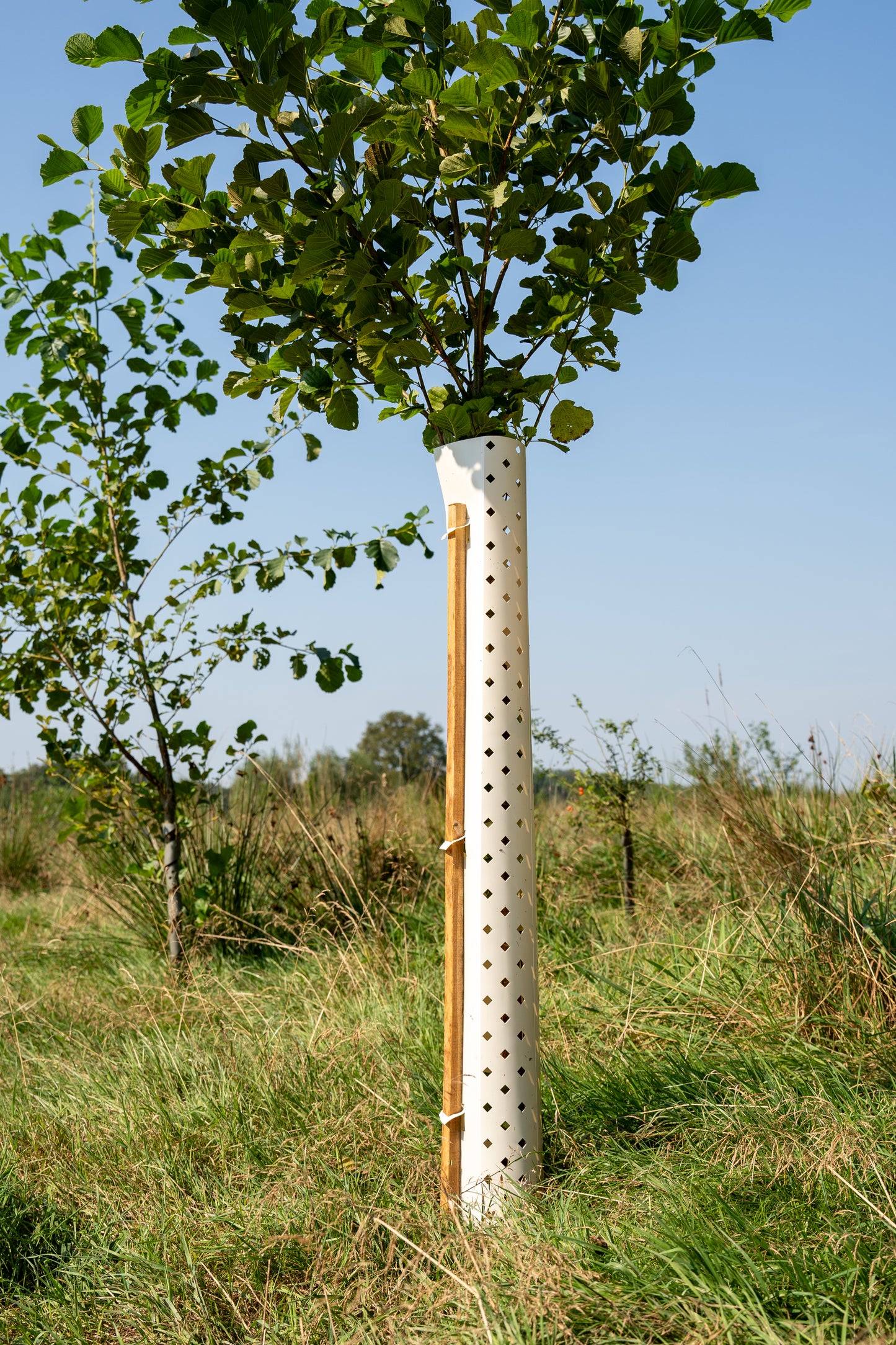 Biologisch afbreekbare TreeShelter